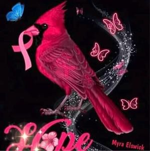 Meet your Posher, Pamela